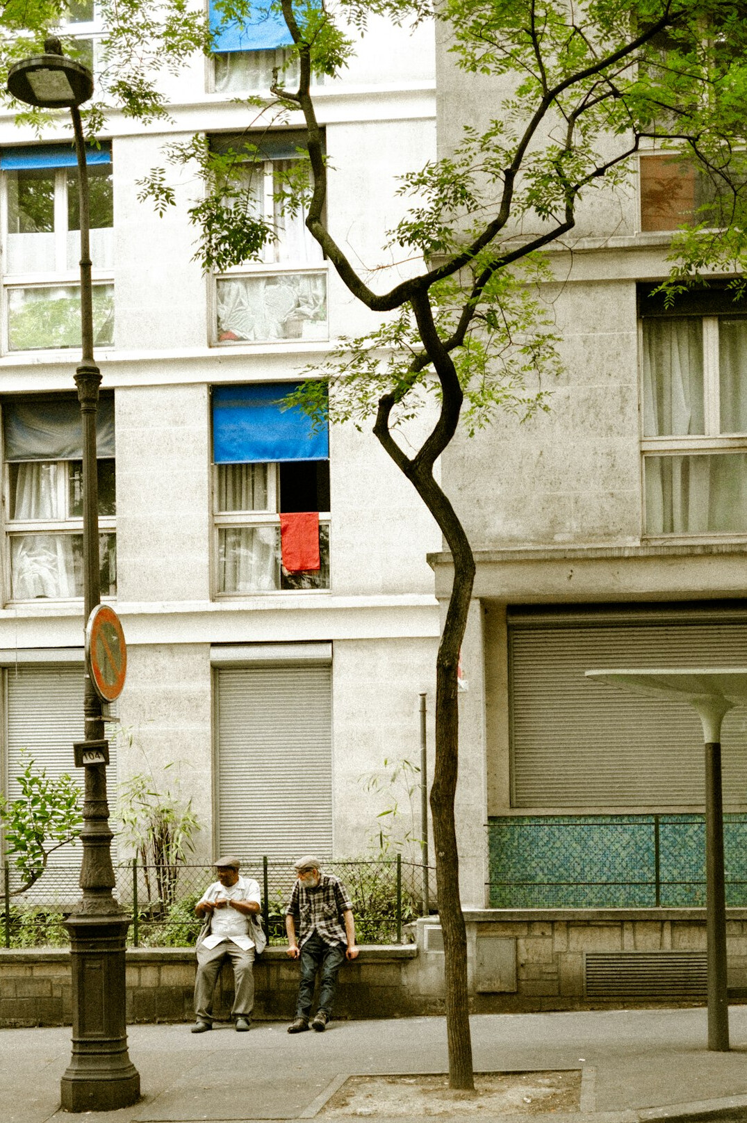 Neighbors chatting on a tree-lined residential street